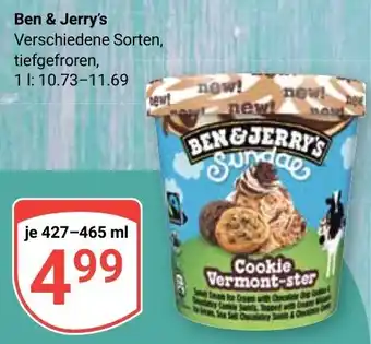 Globus Ben & Jerry's 427-465 ml Angebot