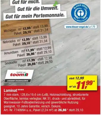 toom Baumarkt Laminat toom Angebot