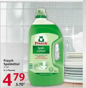 Selgros Frosch Spülmittel Angebot