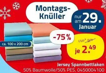 ROLLER Jersey Spannbettlaken Angebot