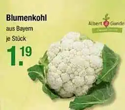 V Markt Blumenkohl Albert Gundel Angebot