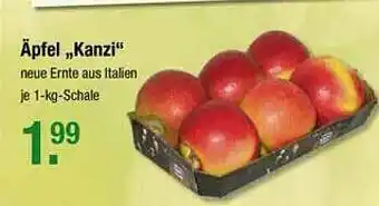 V Markt äpfel „kanzi” Angebot