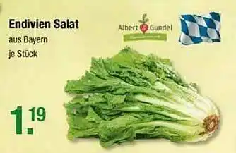 V Markt Endivien Salat Albert Gundel Angebot