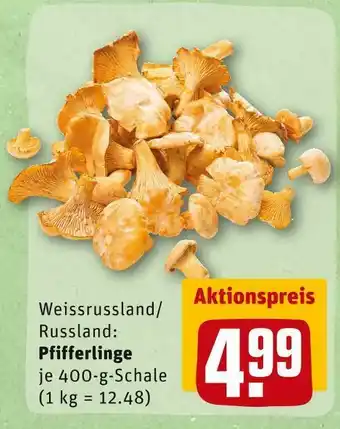 REWE Pfifferlinge Angebot