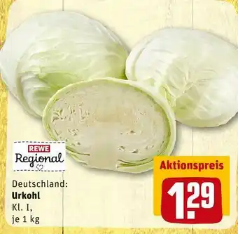 REWE Rewe regional urkohl Angebot