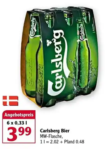 Globus Carlsberg Bier 6x0,33L Angebot