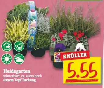 NP Discount Heidegarten Angebot