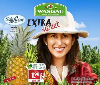 Wasgau San Lucar Ananas Angebot