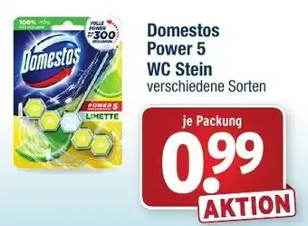 Wasgau Domestos Power 5 WC Stein Angebot