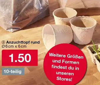 Woolworth Anzuchttopf rund Angebot