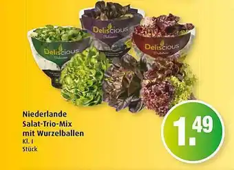 Markant Niederlande Salat Trio-mix Mit Wurzelballen Angebot