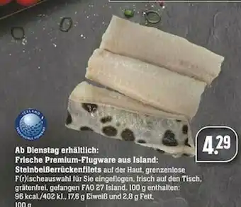 Scheck-in-Center Ab Dienstag Erhältlich : Frische Premium-flugware Aus Island Steinbeißerrückenfilets Angebot