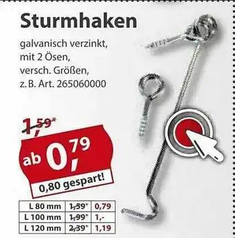 Sonderpreis Baumarkt Sturmhaken Angebot