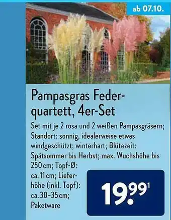 Aldi Nord Pampasgras Feder-quartett, 4er-set Angebot