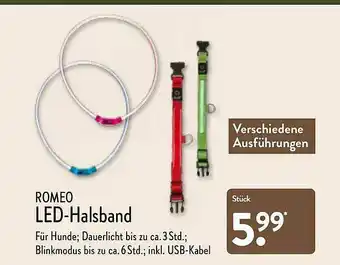 Aldi Nord Romeo Led-halsband Angebot