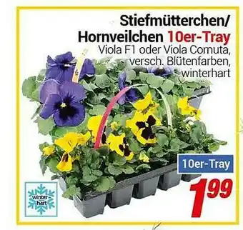 CENTERSHOP Stiefmütterchen Hornveilchen 10er-tray Angebot