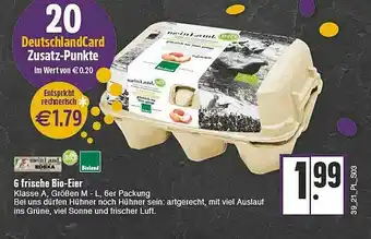 E-Center 6 Frische Bio-eier Angebot