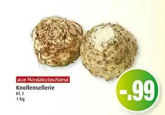 Markant Knollensellerie Angebot