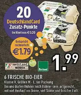 Edeka 6 Frische Bio-eier Bioland Angebot