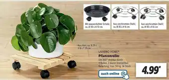 Lidl Livarno Home Pflanzenroller Angebot