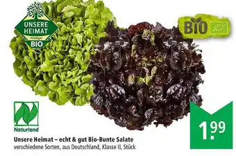 Marktkauf Unsere Heimat-echt & Gut Bio-bunte Salate Angebot