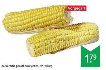 Marktkauf Zuckermais Gekocht Angebot