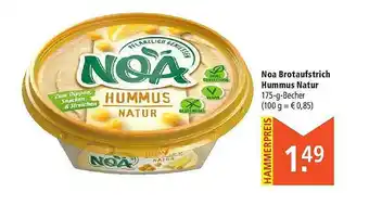 Marktkauf Noa Brotaufstrich Hummus Natur Angebot