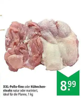 Marktkauf Xxl-pollo-fino Oder Hähnchensteaks Angebot