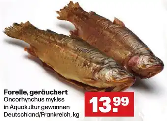 Handelshof Forelle, geräuchert Angebot