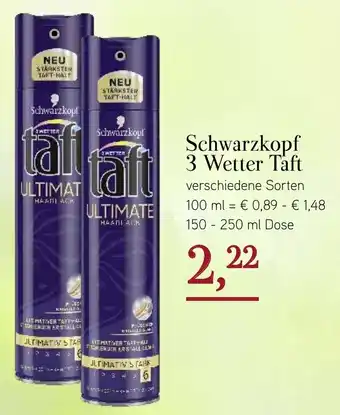 Dornseifer Schwarzkopf 3 Wetter Taft 150-250ml Angebot