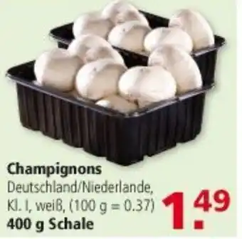 Multi Markt Champignons 400g Angebot