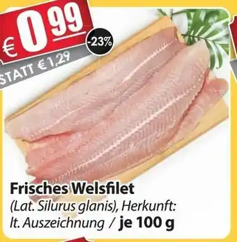 LEDO Frisches Welsfilet 100g Angebot