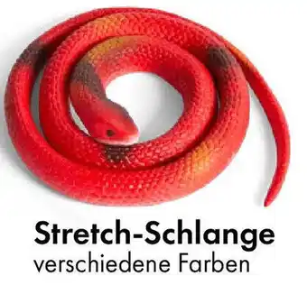 TEDi Stretch-Schlange Angebot