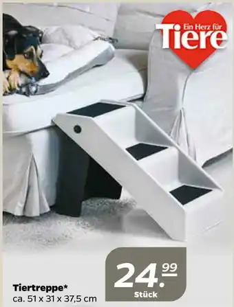 NETTO Tiertreppe Angebot