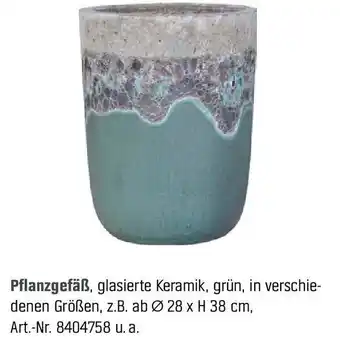 OBI Pflanzgefäß Angebot