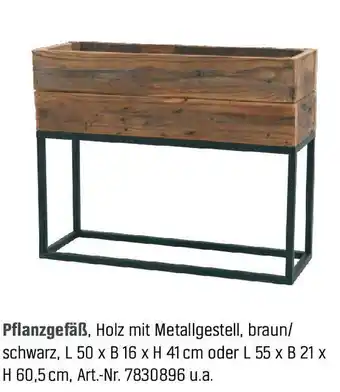 OBI Pflanzgefäß Angebot