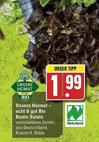 Edeka Unsere Heimat Bio Bunte Salate Angebot