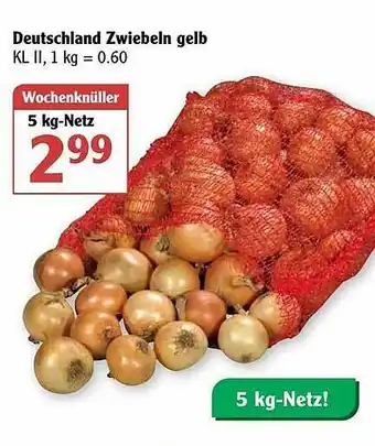 Globus Deutschland Zwiebeln Gelb Angebot