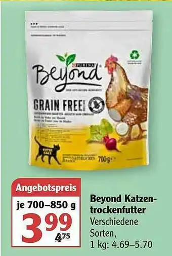 Globus Beyond Katzen-trockenfutter Angebot