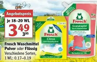 Globus Frosch Waschmittel Pulver Oder Flüssig Angebot