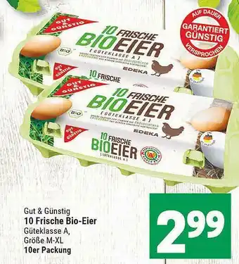 Marktkauf Gut & Günstig 10 Frische Bio-eier Angebot