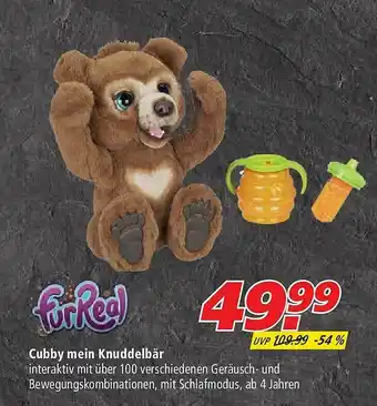 Marktkauf Fur Real Cubby Mein Knuddelbär Angebot