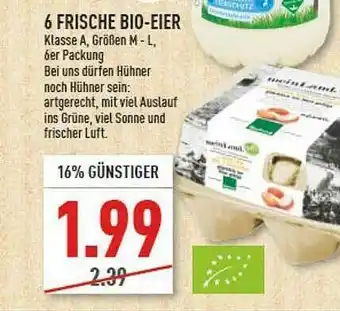 Marktkauf 6 Frische Bio-eier Angebot