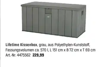 OBI Lifetime Kissenbox Angebot