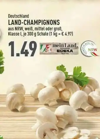 Marktkauf Deutschland Land-champignons Angebot