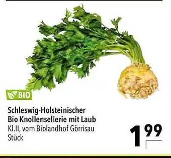 CITTI Markt Schleswig-holsteinischer Bio Knollensellerie Mit Laub Angebot