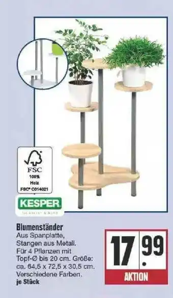 Edeka Blumenständer Angebot