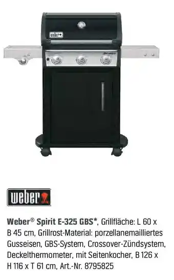 OBI Weber Spirit E-325S GBS Angebot