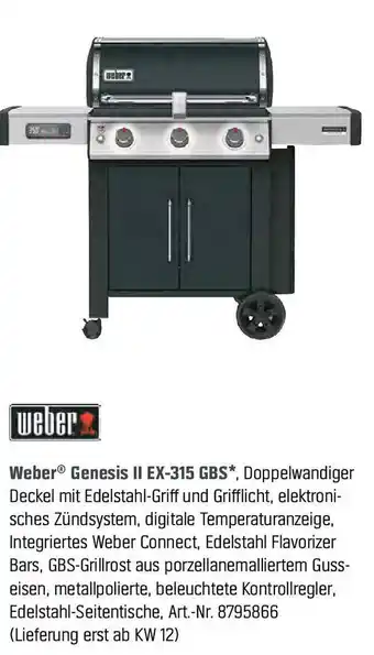 OBI Weber Genesis II EX-315 GBS Angebot