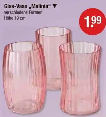 V Markt Glas-Vase ,,Malinia" Angebot